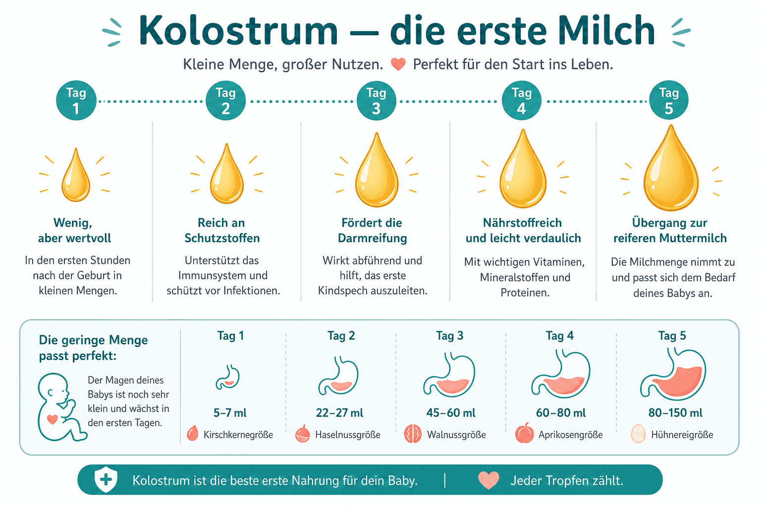 Vergleich Kolostrum und reife Muttermilch: Farbe, Konsistenz und Nährstoffgehalt in Infografik