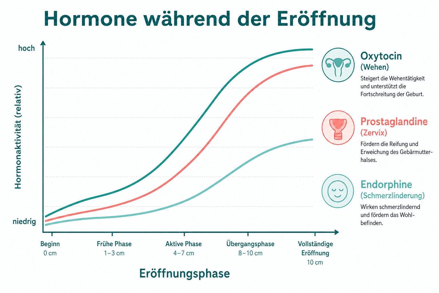 Grafik Wehenverlauf: Oxytocin-Schübe, Prostaglandin-Wirkung an der Zervix und Endorphin-Spiegel über die Eröffnungsphase