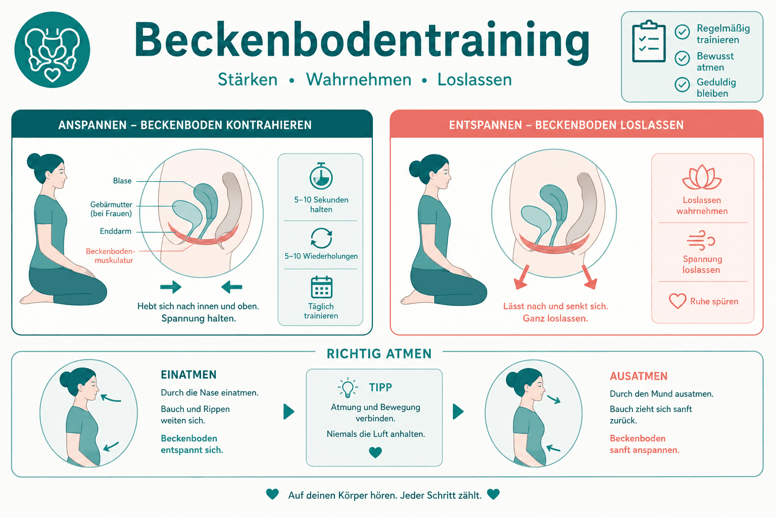 Anatomische Darstellung des Beckenbodens als Muskelplatte zwischen Beckenknochen, Basis für gezieltes Training