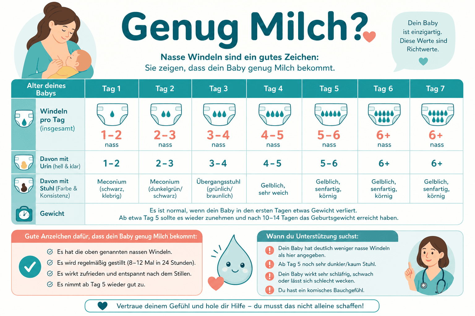 Illustration des Angebot-Nachfrage-Prinzips: Baby an der Brust stimuliert Milchproduktion, symbiotischer Kreislauf